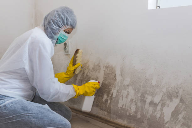 Best Mold Remediation  in Leavenworth, WA