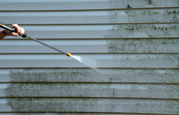 Best Emergency Mold Removal  in Leavenworth, WA