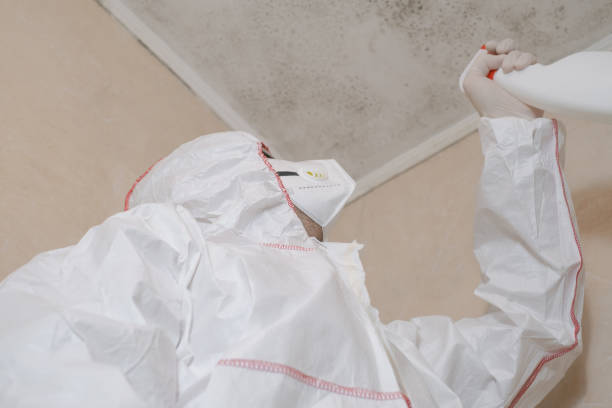 Leavenworth, WA Mold Removal Company