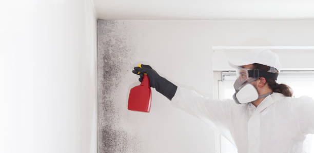 Best Mold Removal Company Near Me  in Leavenworth, WA