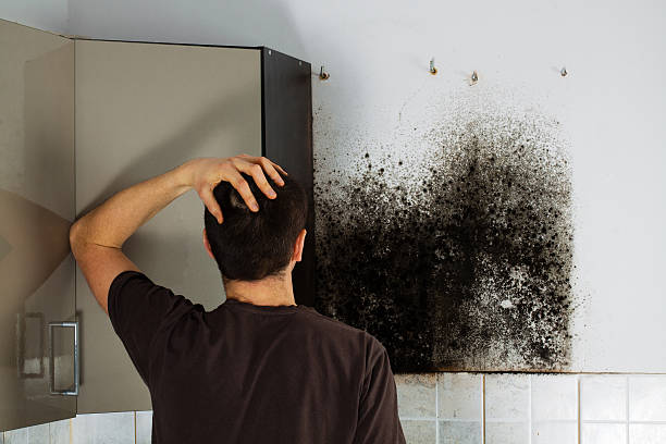 Best Crawl Space Mold Removal  in Leavenworth, WA